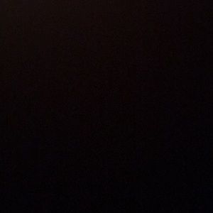 Meet your Posher, Sashauna